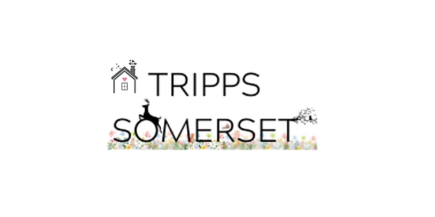 wax melt company.png